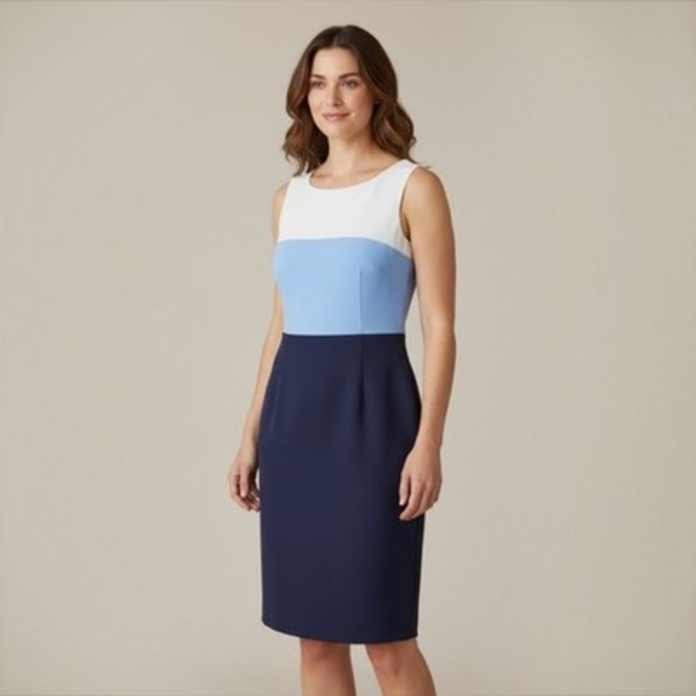 Black Label by Evan-Picone Colorblock Sheath Dress Navy Blue White Barely Worn